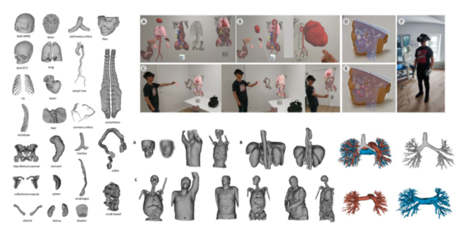 2024 - Biomedical Engineering/Biomedizinische Technik