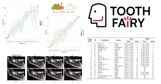 2024 - IEEE Transactions on Medical Imaging